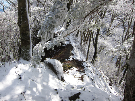 20191129hike (250)